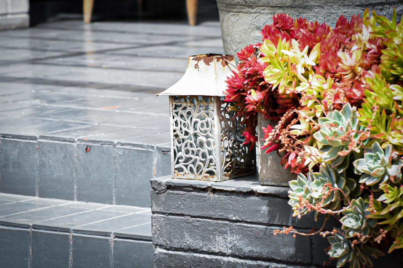 Beautiful Betty Guesthouse 보퍼트웨스트 외부 사진